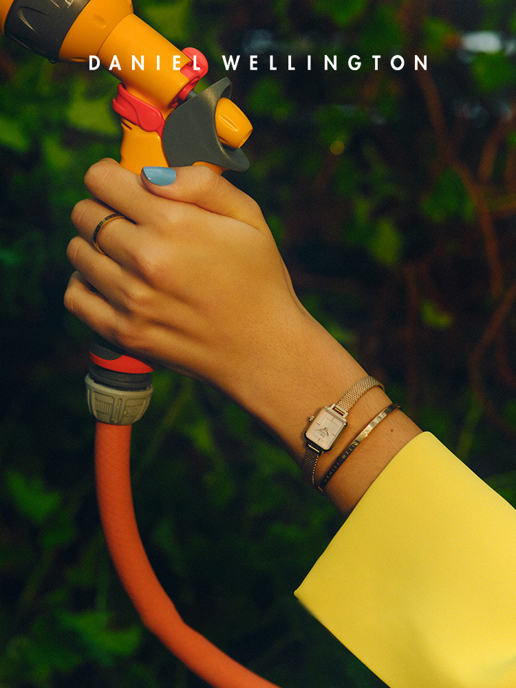 Daniel Wellington Quadro Mini  - Mesh Stainless Strap 评论和价格